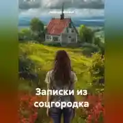 Постер книги записки из соцгородка