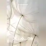 Постер книги жопа