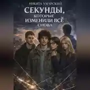 Постер книги Секунды, которые изменили всё снова