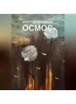 Дарья Комиссарова - Осмос
