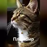 Постер книги Пломбир