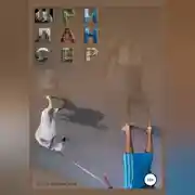 Постер книги ШриЛансер