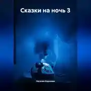 Постер книги Сказки на ночь 3
