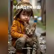 Постер книги Найденыш