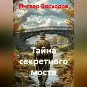 Постер книги Тайна секретного моста