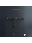 Александр Петрашов - Селлтирианд. Путь скитальца