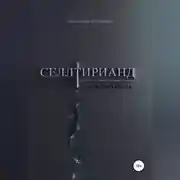 Постер книги Селлтирианд. Путь скитальца