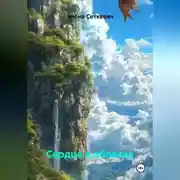 Постер книги Сердце в облаках