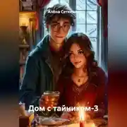 Постер книги Дом с тайником-3