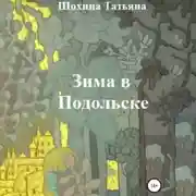 Постер книги Зима в Подольске