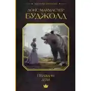 Постер книги Паладин душ