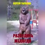 Постер книги Разбудить медведя