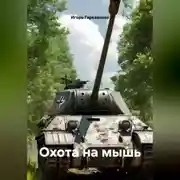 Постер книги Охота на мышь