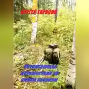 Постер книги Потрясающее путешествие за синим кварцем