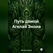Постер книги Путь домой Агелай Энона