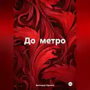 Постер книги До метро
