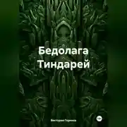 Постер книги Бедолага Тиндарей
