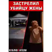 Постер книги Выстрелы в тишине пригорода