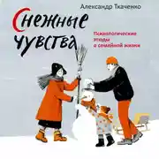 Постер книги Снежные чувства