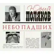 Постер книги Небо падших