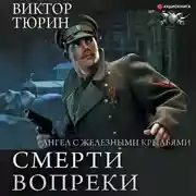 Постер книги Ангел с железными крыльями