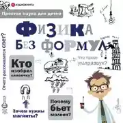 Постер книги Физика без формул