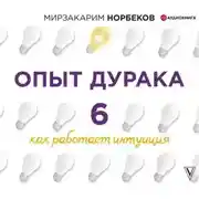 Постер книги Опыт дурака 6. Как работает интуиция