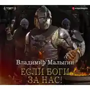 Постер книги Если боги за нас!