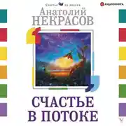 Постер книги Счастье в потоке