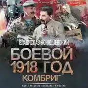 Постер книги Боевой 1918 год. Комбриг