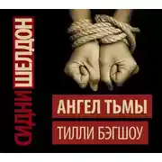 Постер книги Сидни Шелдон. Ангел тьмы