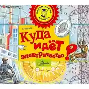 Постер книги Куда идёт электричество?
