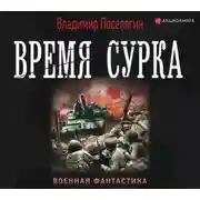 Постер книги Время сурка