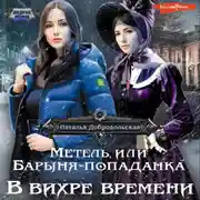 Постер книги Метель, или Барыня-попаданка. В вихре времени