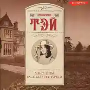 Постер книги Мисс Пим расставляет точки