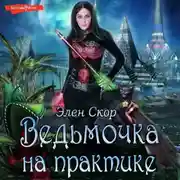 Постер книги Ведьмочка на практике
