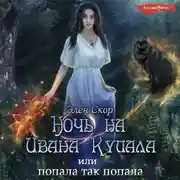 Постер книги Ночь на Ивана Купала, или Попала, так попала!