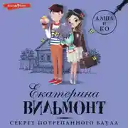 Постер книги Секрет потрепанного баула