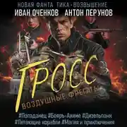 Постер книги Воздушные фрегаты. Гросс