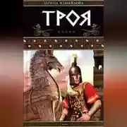 Постер книги Троя. Герои Троянской войны. Книга 1