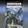 Владислав Шурыгин - Зенитная цитадель. «Не тронь меня!»