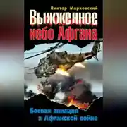 Постер книги Выжженное небо Афгана. Боевая авиация в Афганской войне