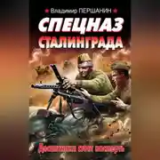 Постер книги Спецназ Сталинграда