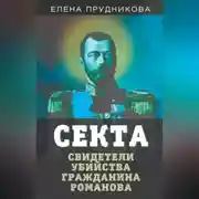 Постер книги Секта. Свидетели убийства гражданина Романова