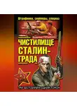 Владимир Першанин - Чистилище Сталинграда. Штрафники, снайперы, спецназ (сборник)