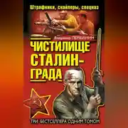 Постер книги Чистилище Сталинграда. Штрафники, снайперы, спецназ (сборник)