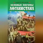 Постер книги Зеленые погоны Афганистана