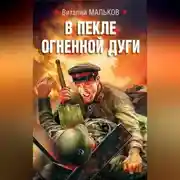 Постер книги В пекле огненной дуги