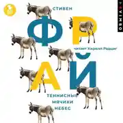 Постер книги Теннисные мячики небес