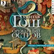 Постер книги Оружейный остров